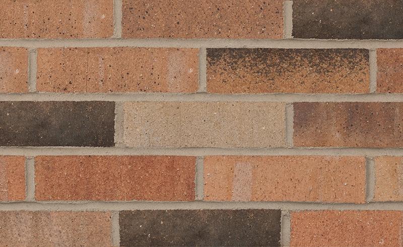 Illini Commons with Black 