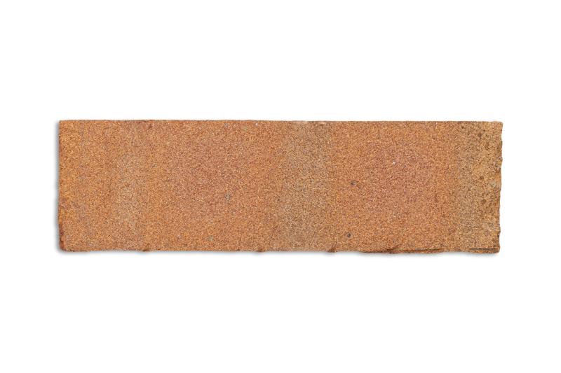 Rosebud - S23