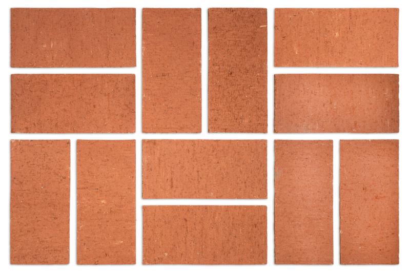 Sunlit Earth Wirecut Pavers