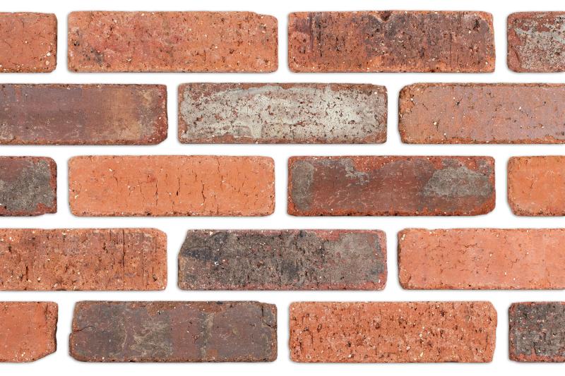 Cinco De Mayo Tumbled